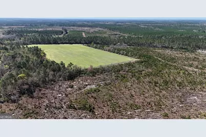 Tract 6 Ingram Road, Odum, GA 31555 - Photo 5