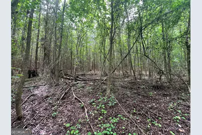0 Bethlehem Church Road, Grantville, GA 30220 - Photo 3