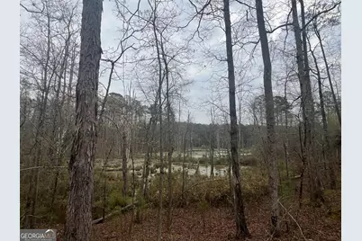 0 Bethlehem Church Road, Grantville, GA 30220 - Photo 13