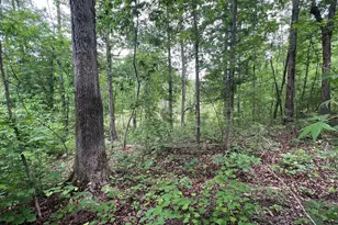 0 Bethlehem Church Rd, Grantville, GA 30220 - Photo 1
