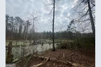 0 Bethlehem Church Road, Grantville, GA 30220 - Photo 1