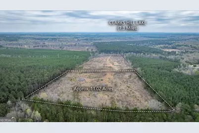 0 Fannie Matt Clark Road, Tignall, GA 30668 - Photo 5