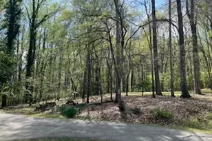 1310 Ivywood Dr, Athens, GA 30606 - Photo 89