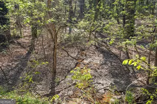 1310 Ivywood Dr, Athens, GA 30606 - Photo 93