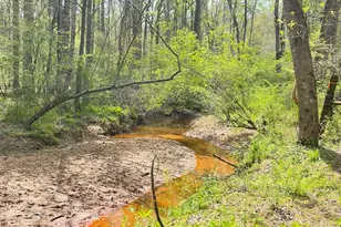 655 Holman-Autry Rd, Danielsville, GA 30633 - Photo 137