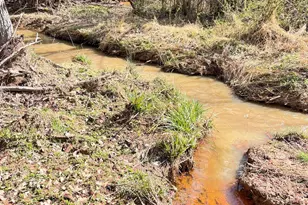 655 Holman-Autry Rd, Danielsville, GA 30633 - Photo 123