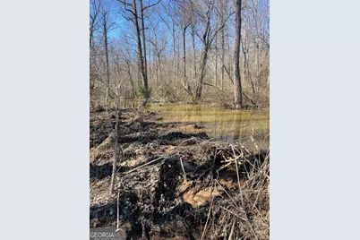 655 Holman Autry Road, Danielsville, GA 30633 - Photo 135