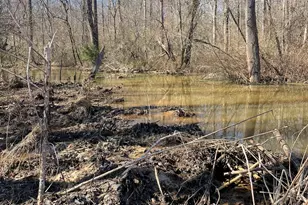 655 Holman-Autry Rd, Danielsville, GA 30633 - Photo 135