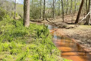 655 Holman-Autry Rd, Danielsville, GA 30633 - Photo 139