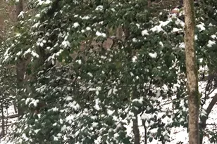 655 Holman-Autry Rd, Danielsville, GA 30633 - Photo 121