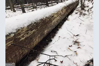 655 Holman Autry Road, Danielsville, GA 30633 - Photo 119