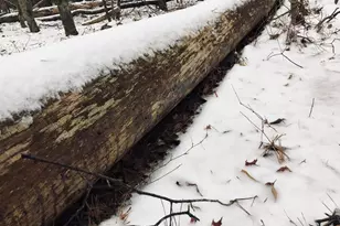 655 Holman-Autry Rd, Danielsville, GA 30633 - Photo 119