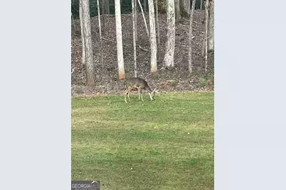 655 Holman Autry Road, Danielsville, GA 30633 - Photo 117