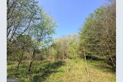 3065 Sycamore Road, Royston, GA 30662 - Photo 25