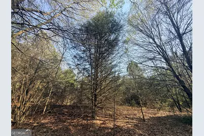 3065 Sycamore Road, Royston, GA 30662 - Photo 17