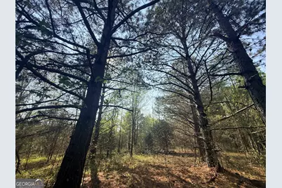 3065 Sycamore Road, Royston, GA 30662 - Photo 21