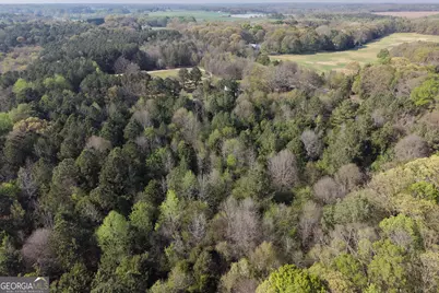 3065 Sycamore Road, Royston, GA 30662 - Photo 7