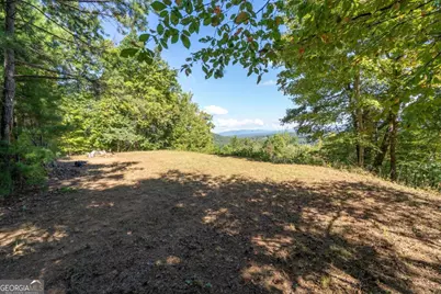 Lot 6/7 Raintree Bend #LOT 6/7, Blue Ridge, GA 30513 - Photo 7