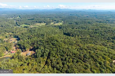 Lot 6/7 Raintree Bend #LOT 6/7, Blue Ridge, GA 30513 - Photo 13