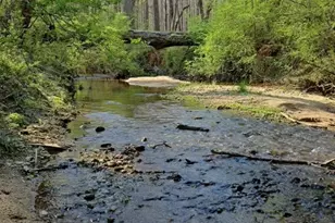 2811 Ike Stone Rd, Monroe, GA 30656 - Photo 23