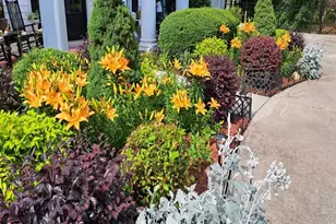 2811 Ike Stone Rd, Monroe, GA 30656 - Photo 25