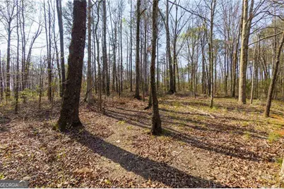 1392 Nunnally Trail, Monroe, GA 30655 - Photo 21