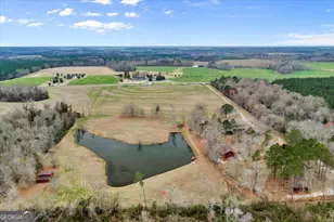 3591 Milan Eastman Rd, Milan, GA 31060 - Photo 101