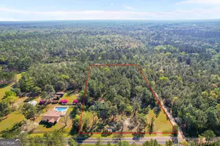 611 Sandy Run Rd, Jesup, GA 31545 - Photo 27