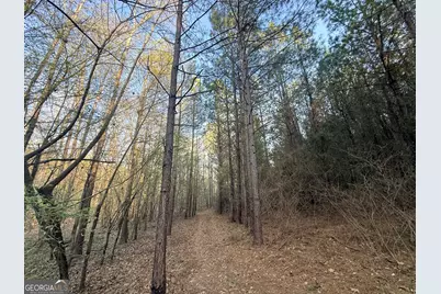 8 Hollis Norman Road, Tignall, GA 30668 - Photo 23