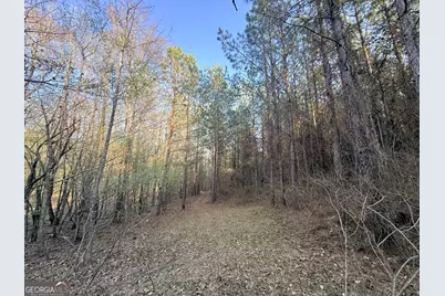 8 Hollis Norman Road, Tignall, GA 30668 - Photo 27