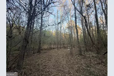 8 Hollis Norman Road, Tignall, GA 30668 - Photo 17