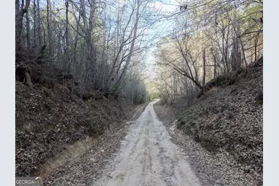 8 Hollis Norman Road, Tignall, GA 30668 - Photo 35