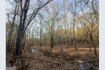 8 Hollis Norman Road, Tignall, GA 30668 - Photo 7