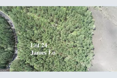 Lot 24 James Lane, White Oak, GA 31568 - Photo 11