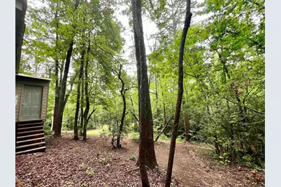 186 Holly Lane, Cleveland, GA 30528 - Photo 39