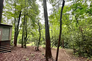 186 Holly Ln, Cleveland, GA 30528 - Photo 39