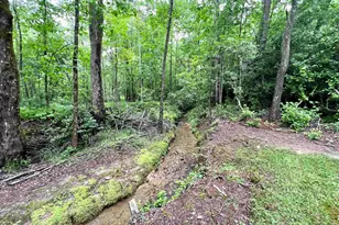 186 Holly Ln, Cleveland, GA 30528 - Photo 43