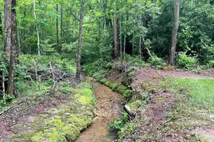 186 Holly Ln, Cleveland, GA 30528 - Photo 45