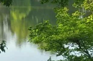 45 Surrey Chase Dr, Social Circle, GA 30025 - Photo 9