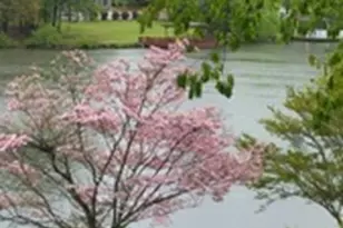 45 Surrey Chase Dr, Social Circle, GA 30025 - Photo 7