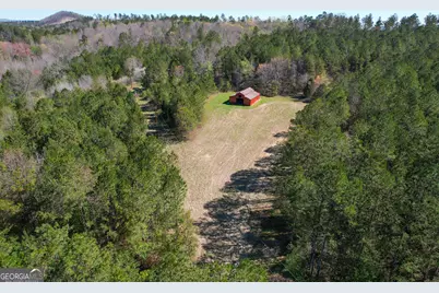 65 +/- Acres On Half Mile Road, Lyerly, GA 30730 - Photo 3