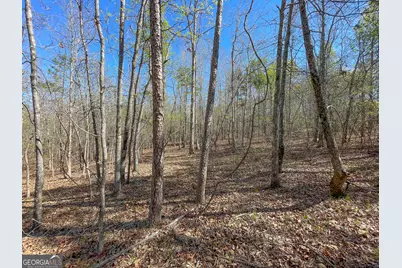 65 +/- Acres On Half Mile Road, Lyerly, GA 30730 - Photo 37