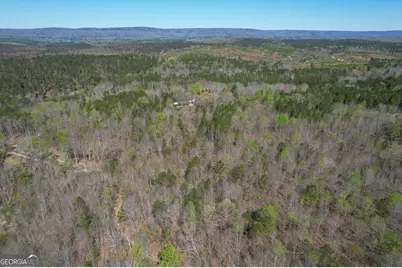 65 +/- Acres On Half Mile Road, Lyerly, GA 30730 - Photo 21