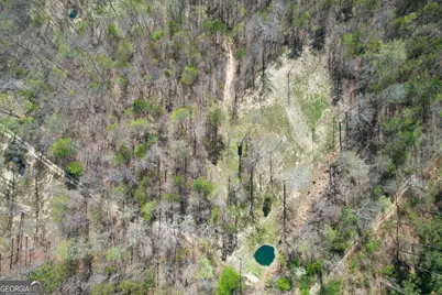 65 +/- Acres On Half Mile Road, Lyerly, GA 30730 - Photo 9