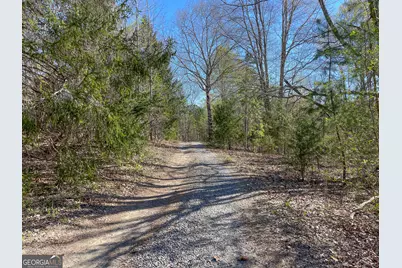 65 +/- Acres On Half Mile Road, Lyerly, GA 30730 - Photo 49