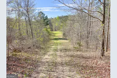 65 +/- Acres On Half Mile Road, Lyerly, GA 30730 - Photo 47