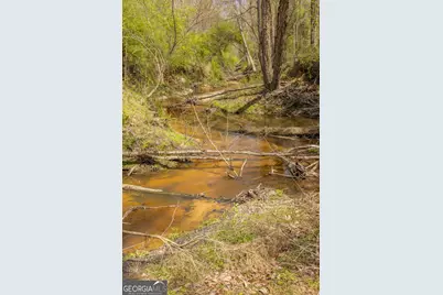 647 Pine Valley Road, Meansville, GA 30256 - Photo 39