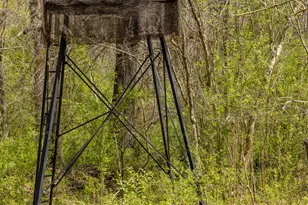 647 Pine Valley Rd, Meansville, GA 30256 - Photo 89