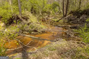 647 Pine Valley Rd, Meansville, GA 30256 - Photo 31