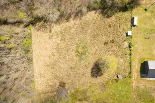 647 Pine Valley Rd, Meansville, GA 30256 - Photo 67